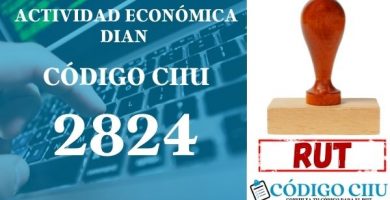 actididad economica 2824 ciiu dian rut