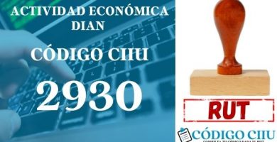 actididad economica 2930 ciiu dian rut