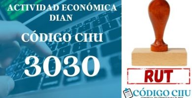 actididad economica 3030 ciiu dian rut