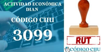 actididad economica 3099 ciiu dian rut