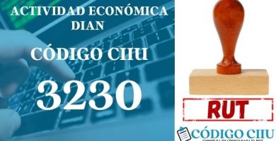 actididad economica 3230 ciiu dian rut