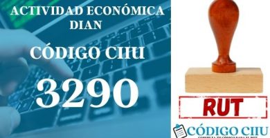 actididad economica 3290 ciiu dian rut