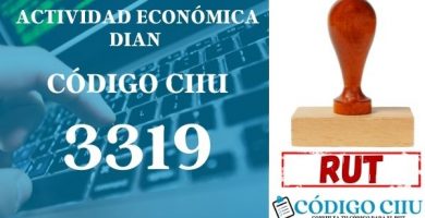 actididad economica 3319 ciiu dian rut