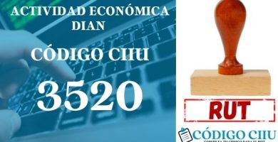 actididad economica 3520 ciiu dian rut