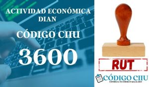 actididad economica 3600 ciiu dian rut