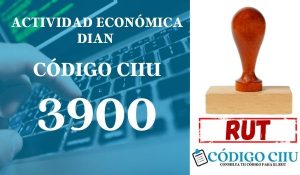 actididad economica 3900 ciiu dian rut