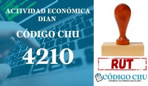 actididad economica 4210 ciiu dian rut