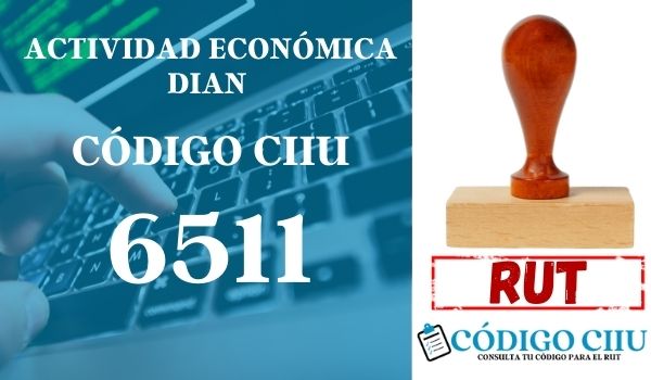 actididad economica 6511 ciiu dian rut