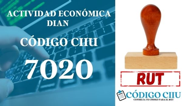 actididad economica 7020 ciiu dian rut