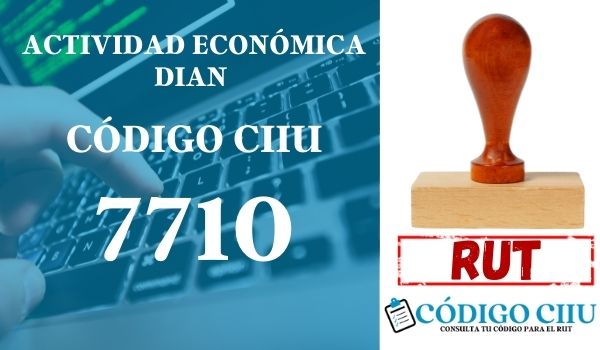 actididad economica 7710 ciiu dian rut