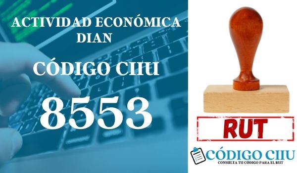 actididad economica 8553 ciiu dian rut