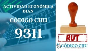 actididad economica 9311 ciiu dian rut